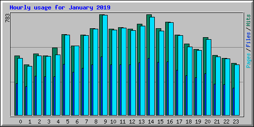 Hourly usage for January 2019
