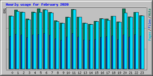 Hourly usage for February 2020