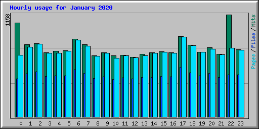Hourly usage for January 2020