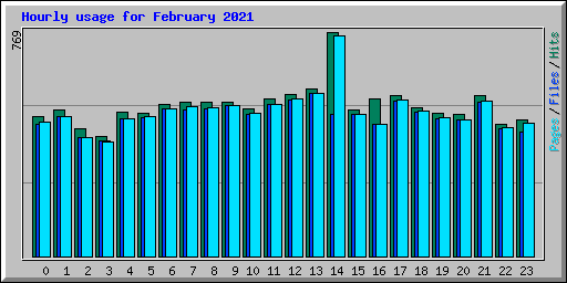 Hourly usage for February 2021